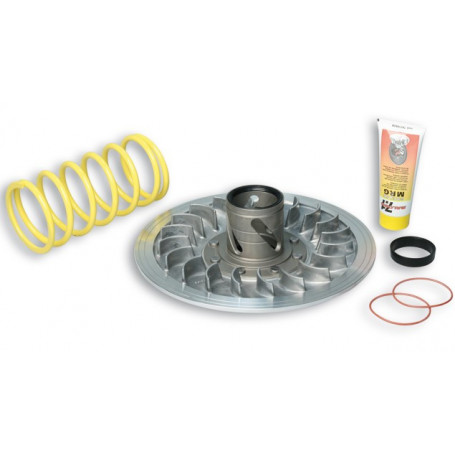 Correttore di coppia Malossi per Yamaha T-Max 500 04-