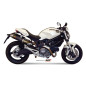 Homologierter Endschalldämpfer Mivv Rund GP Carbon Ducati Monster 1100/696
