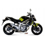 Muffler Street Legal GP cylindrical Carbon Suzuki Gladius