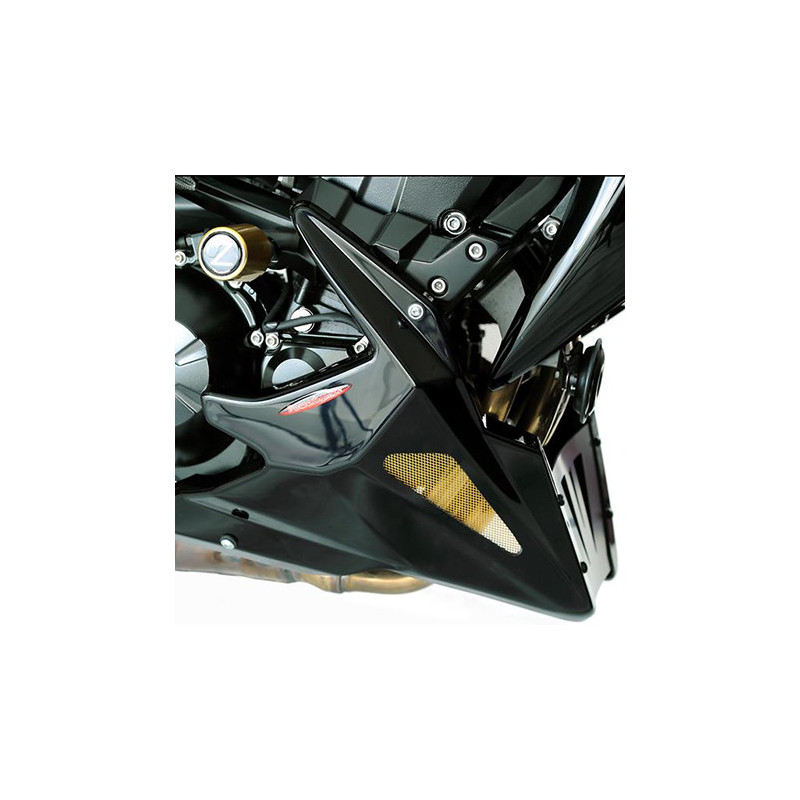 Taco protector de motor Powerbronze in ABS negro para Kawasaki Z … | MotoGM