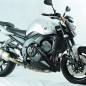 Taco protector de motor Powerbronze Yamaha FZ1/Fazer 1000 06-