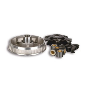 Variator Malossi Multivar 2000 für Suzuki Burgman 125/Epicuro/Si… | MotoGM