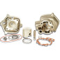 Cilindro aluminio Malossi 80 CC H2O monofascia para Mot. AM6