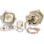 Cylindre Alu Malossi 80 CC mono segments H20 pour Moteur AM6