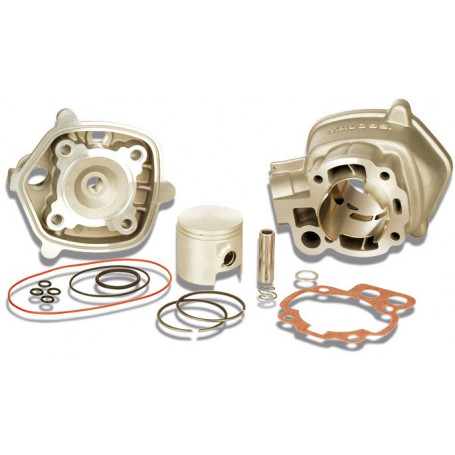 Cilindro aluminio Malossi 80 CC H2O Bifascia para Mot. AM6 | MotoGM