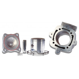 Zylinder Aluminium Malossi für Gilera Runner FX 125/FXR 180, Pia… | MotoGM