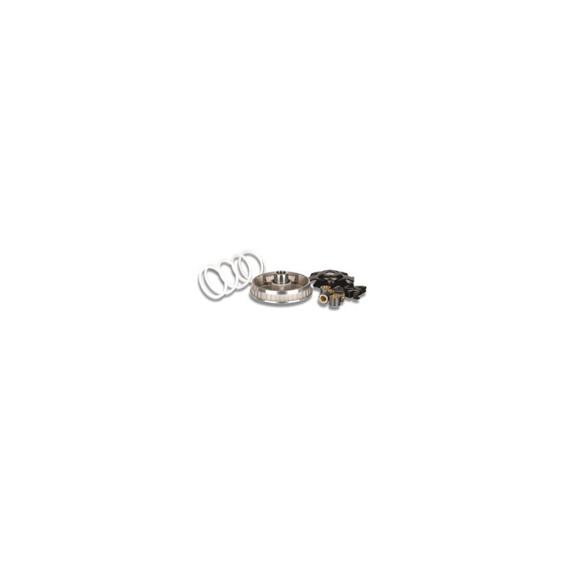 Variador Malossi Multivar 2000 para Gilera Runner FX 125/FXR 180, Piaggio Hexagon 125/150/180