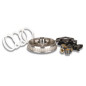 Variador Malossi Multivar 2000 para Gilera Runner FX 125/FXR 180, Piaggio Hexagon 125/150/180