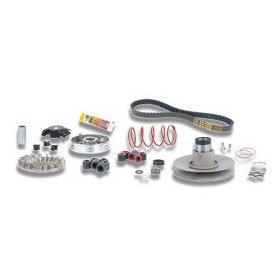 Over range Malossi completo para motores scooter Minarelli 50 | MotoGM