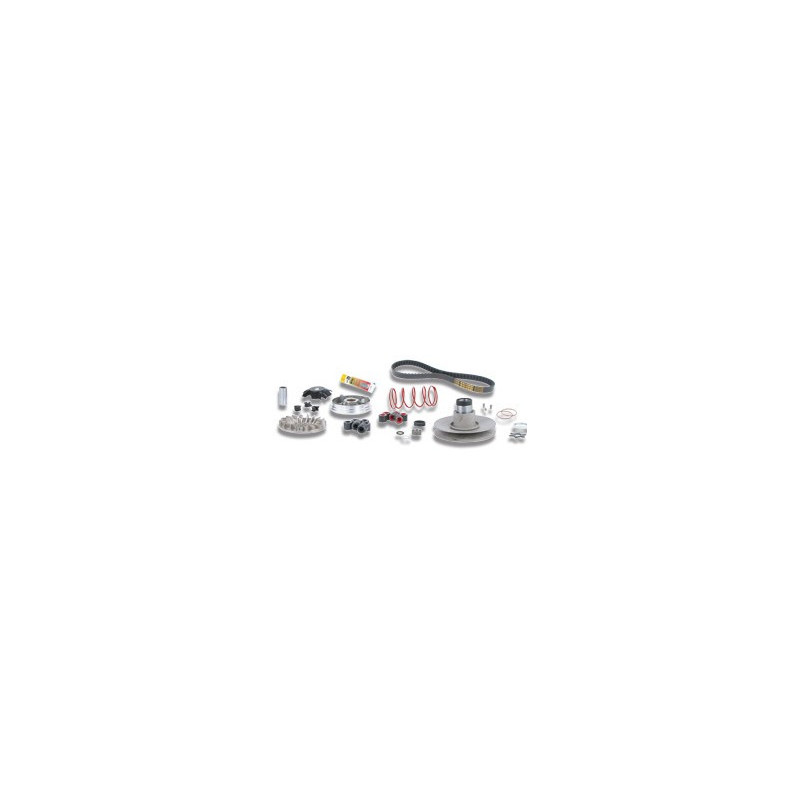Over range Malossi completo per motori scooter Minarelli 50