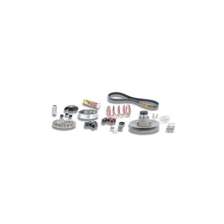 Over range Malossi completo para motores scooter Minarelli 50 | MotoGM