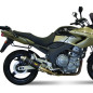 Terminal homologado Mivv Redondo GP carbono Yamaha TDM 900 02-