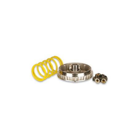 Variator Malossi Multivar 2000 Aprilia Leonardo/Scarabero 125/150 | MotoGM