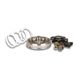 Variator Malossi Multivar 2000 für Honda /Dylan/Phantheon/PS/SH/… | MotoGM