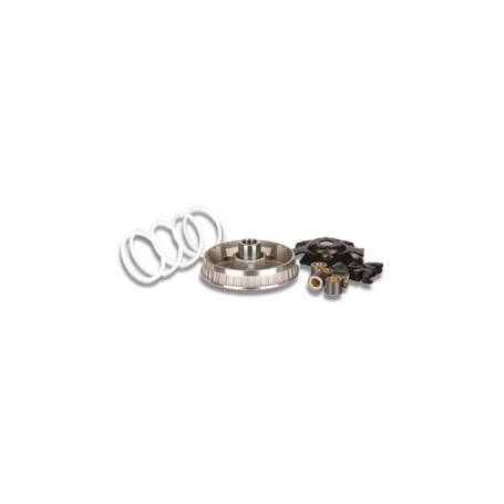 Variador Malossi Multivar 2000 para Honda /Dylan/Phantheon/PS/SH… | MotoGM