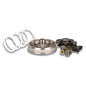 Variador Malossi Multivar 2000 para Honda /Dylan/Phantheon/PS/SH/S-Wing  125/150 cc