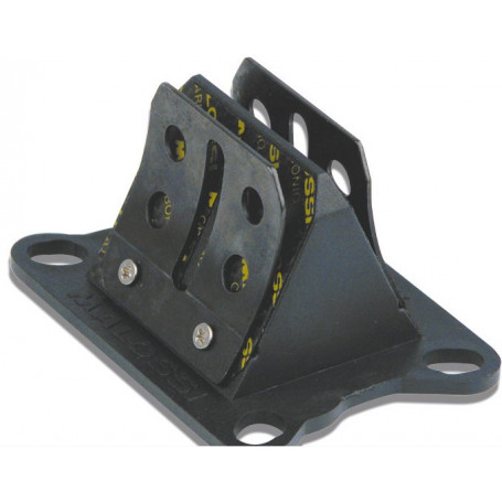 Malossi Reed Valve Carbon, engine Minarelli AM6