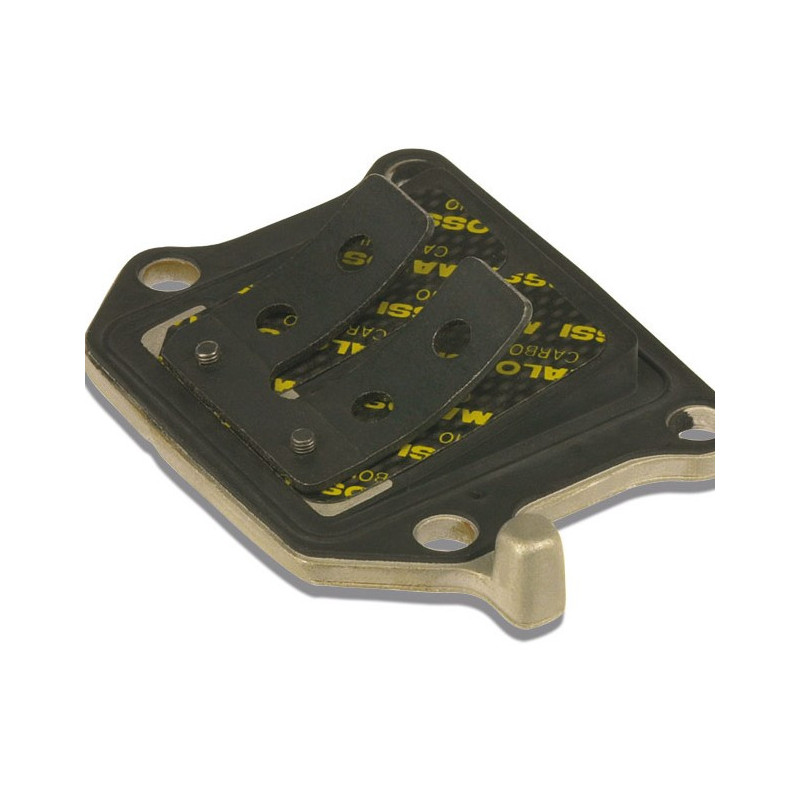 Caja de láminas Malossi para Aprilia Amico, SR 50 -93, MBK Booster, Stunt, Yamaha BW'S, CT, Slider