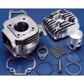 Zylinder Guss Polini Sport 50 CC Bifascia für Mot. Minarelli Ver… | MotoGM