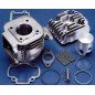 Cylindre Polini Sport fonte 50 CC deux segments pour Moteur Minarelli Vert, sp.Ø 10