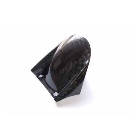 Schutzblech hinten Carbon Lightech für Aprilia RSV4 09 | MotoGM