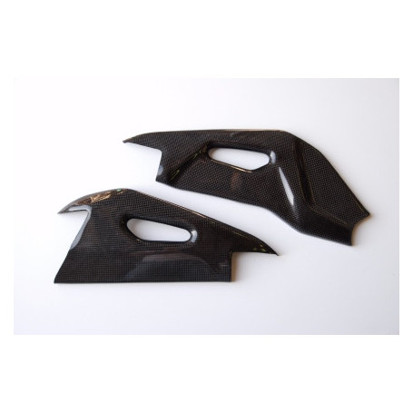 Schwingenschutz Carbon Lightech für Aprilia RSV4 09 | MotoGM