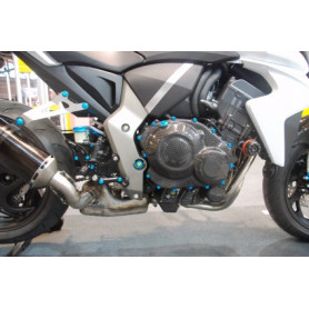 Kupplungsdeckel Carbon Lightech für Honda CBR 1000 R 08 | MotoGM