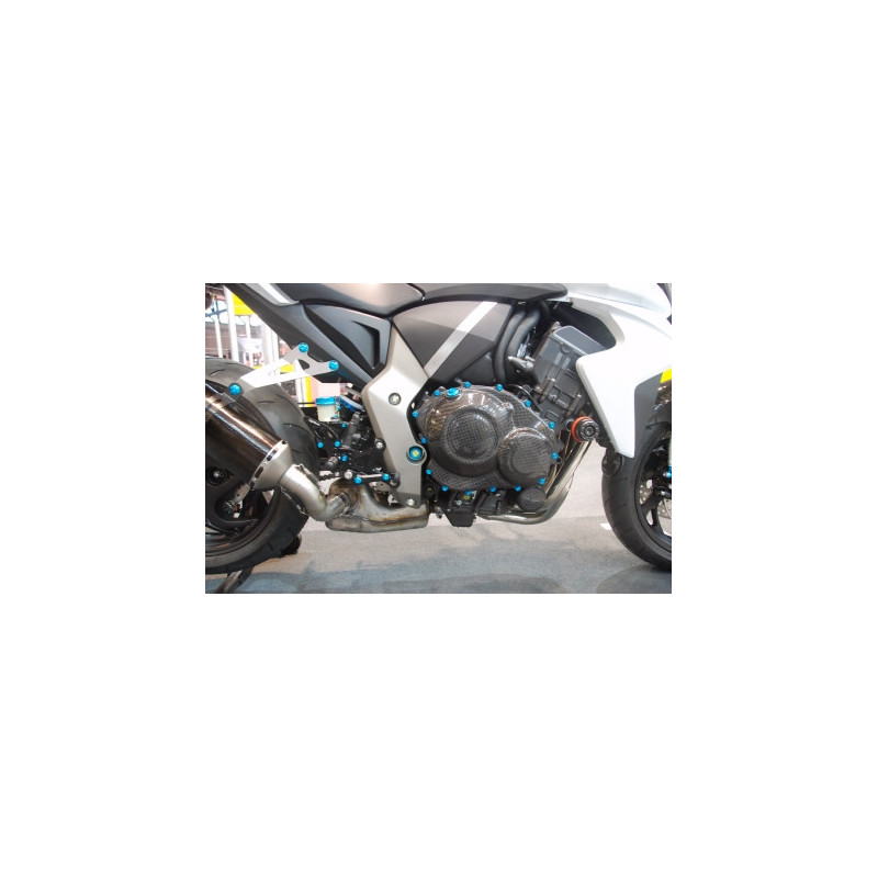 Kupplungsdeckel Carbon Lightech für Honda CBR 1000 R 08-