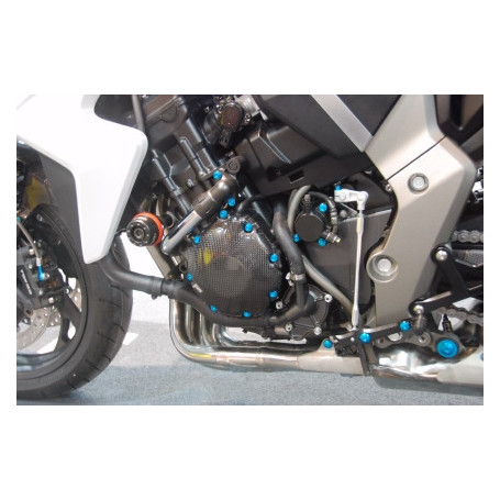 Lightech carbon electric cover for Honda CB 1000 R 08-