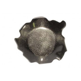 Lichtmaschinendeckel Carbon Lightech für Honda CBR 1000 RR 08-10 | MotoGM
