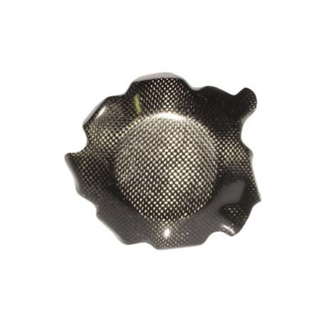 Lightech carbon electric cover for Honda CBR 1000 RR 08-10