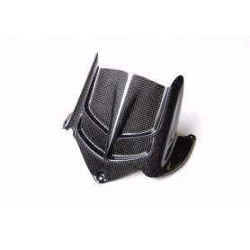 Schutzblech hinten Carbon Lightech für Kawasaki ZX-6 R 09 | MotoGM