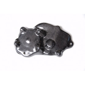 Lichtmaschinendeckel Carbon Lightech für Kawasaki ZX-6 R 09 | MotoGM