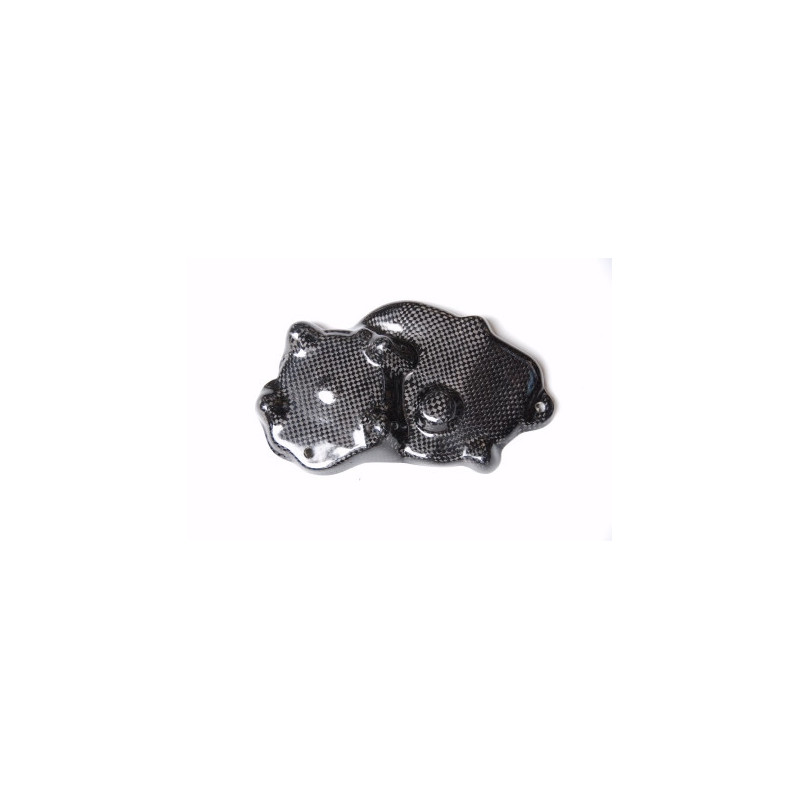 Tapa alternador carbono Lightech para Kawasaki ZX-6 R 09-