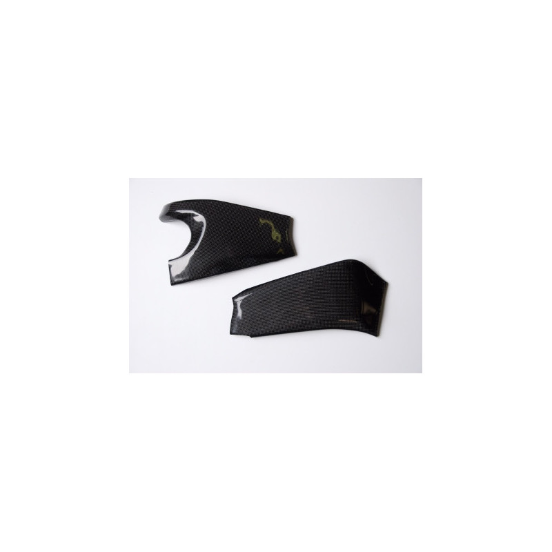 Schwingenschutz Carbon Lightech für Kawasaki ZX-6 R 09-
