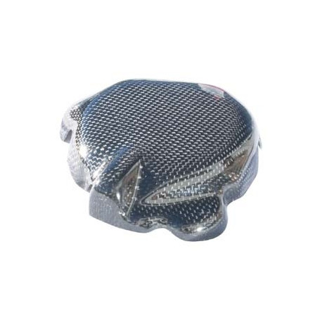 Protection carte d'alternateur carbone Lightech pour Suzuki GSX-R 600/750 04-05