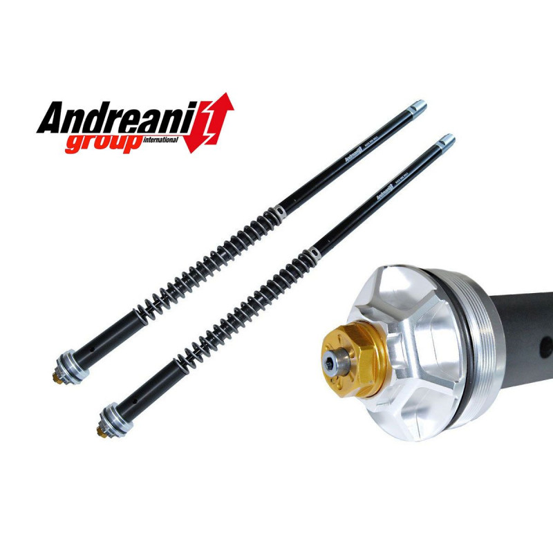 Andreani Cartridge fork kit Evolution Andreani Honda CB 650 R 19, CBR