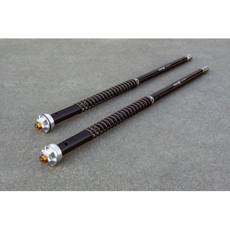 Andreani Cartridge fork kit Evolution Andreani Honda CB 650 R 19-, CBR 650 R 19-