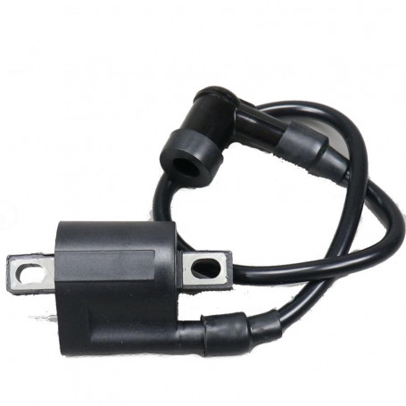 Zündspule Minarelli Yamaha aerox, BWS, MBK Nitro,Booster,ovetto,… | MotoGM