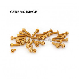 Kit tornillos motor Evotech para Aprilia RS 660 2020-2022 | MotoGM