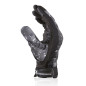 Handschuh homologiert Chaft Harisson Score Entry grau schwarz Handschuh homologiert Chaft Harisson Score Entry grau schwarz
