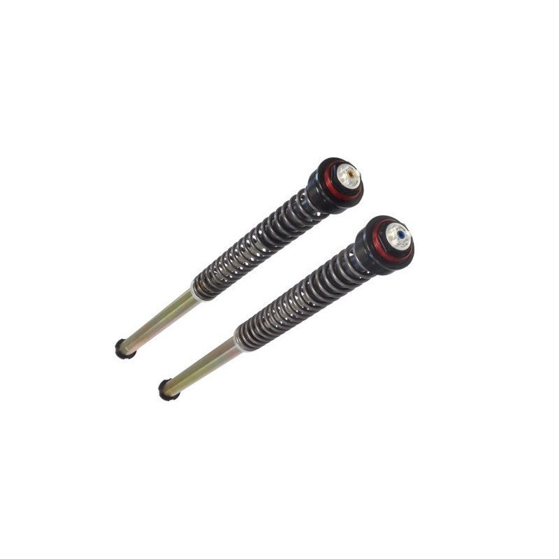 Cartucho horquilla Bitubo JBHV1 para Aprilia RS 660, Tuono 660 2020-2023 Cartucho horquilla Bitubo JBHV1 para Aprilia RS 660, Tuono 660 2020-2023