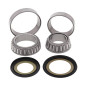 Kit rodamientos dirección WRP para Honda SH300, Forza 250-300 Kit rodamientos dirección WRP para Honda SH300, Forza 250-300