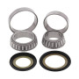 WRP steering bearing kit for Honda SH300, Forza 250-300