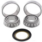 Lenkkopflager-Kit Tourmax für Suzuki Bandit 650,Burgman 400-650, Yamaha MT-07,MT-09, TMAX500, XT660Z Lenkkopflager-Kit Tourmax für Suzuki Bandit 650,Burgman 400-650, Yamaha MT-07,MT-09, TMAX500, XT660Z