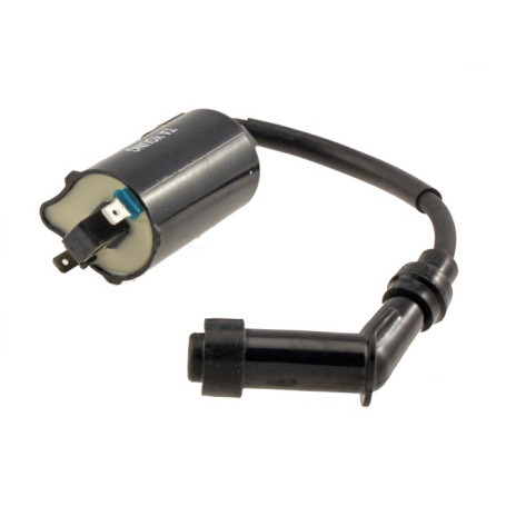Bobine haute tension Kymco Grand Dink 250 2001-2004