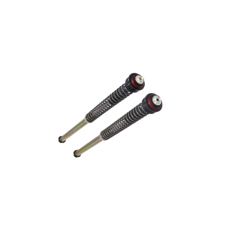 Gabelkartusche pressurizzata Bitubo JBHV1 für KTM Duke 790 18-22, KTM 890 Duke 21-23 Gabelkartusche pressurizzata Bitubo JBHV1 für KTM Duke 790 18-22, KTM 890 Duke 21-23