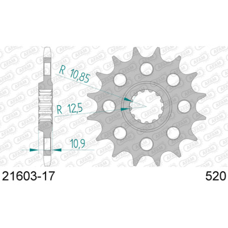 Pignon sortie de boite Afam Yamaha FZ6/Fazer, XJ6, R6, pas 520, 17 dents allégé