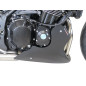 Motorschutzpuffer ABS Powerbronze für Kawasaki Z900RS 18-24, Z900RS Cafe racer 18-20 Motorschutzpuffer ABS Powerbronze für Kawasaki Z900RS 18-24, Z900RS Cafe racer 18-20