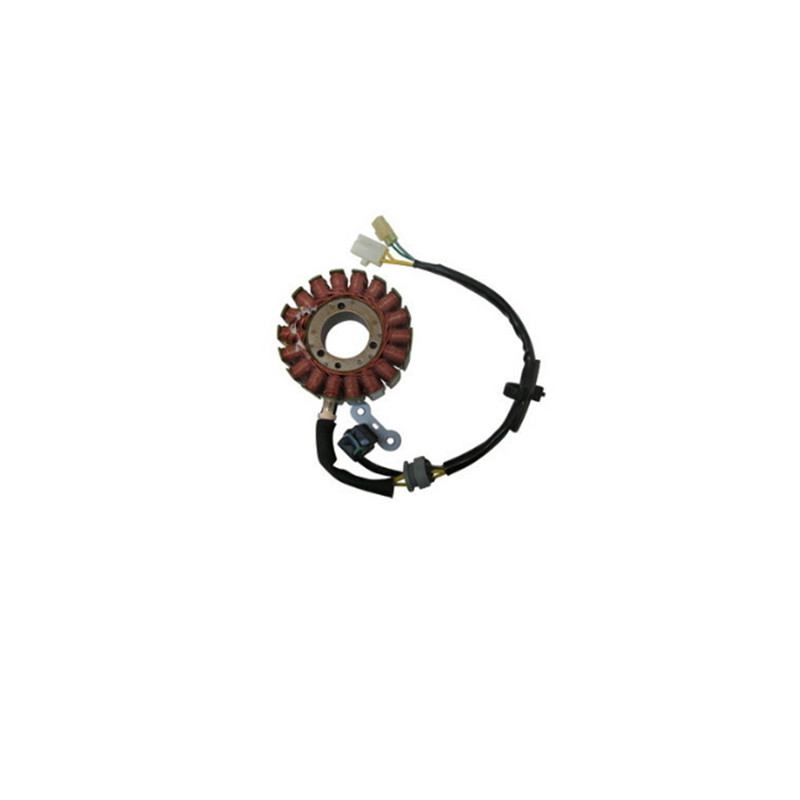 Estátor Magnete Kymco Xciting - People ie 250-300 2007-2014 Estátor Magnete Kymco Xciting - People ie 250-300 2007-2014